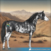 Horse Color:Black Mushroom Sabino