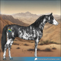 Horse Color:Black Mushroom Sabino 