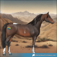 Horse Color:Brown Sabino Tobiano 