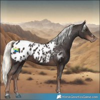Horse Color:Liver Chestnut Mushroom Appaloosa 
