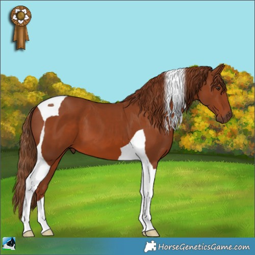 Horse Color:Chestnut Tobiano 