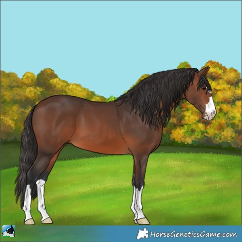 Horse Color:Brown 