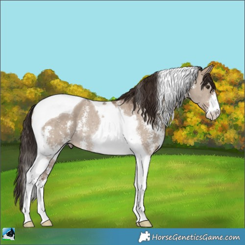 Horse Color:Liver Red Dun Sabino Tobiano Rabicano 