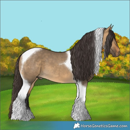 Horse Color:Buckskin Dun Tobiano 