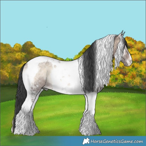 Horse Color:Brown Ice Onyx Tobiano Rabicano 