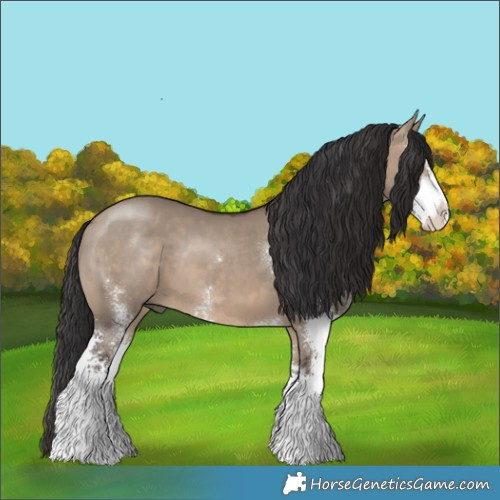 Horse Color:Brown Dun Sabino 