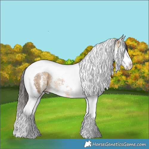 Horse Color:White Spotted Buckskin Splash Tobiano Rabicano 