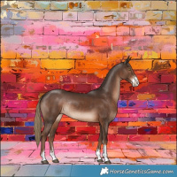 Horse Color:Liver Chestnut Sabino Tobiano Rabicano 