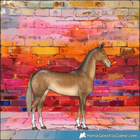 Horse Color:Chocolate Palomino Sabino Tobiano Rabicano 