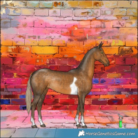 Horse Color:Chocolate Palomino Tobiano Rabicano