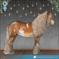 Horse Color:White Spotted Chocolate Palomino 