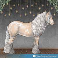 Horse Color:White Spotted Silver Perlino