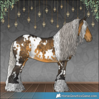 Horse Color:White Spotted Silver Buckskin 