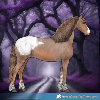 Horse Color:Chestnut Snowcap 