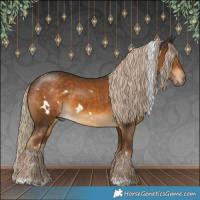 Horse Color:White Spotted Chocolate Palomino 