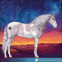 Horse Color:Watercolor Palomino Tobiano 