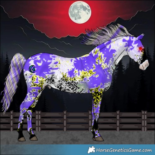 Horse Color:Painted Watercolor White Spotted Smoky Black Splash 