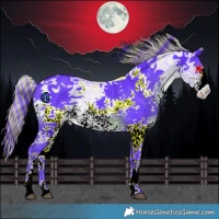 Horse Color:Painted Watercolor White Spotted Smoky Black Splash 