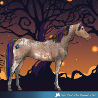 Horse Color:Painted Bay Ice 