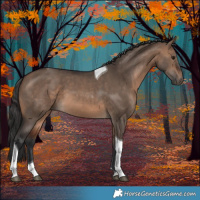 Horse Color:Brown Tobiano 