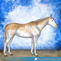 Horse Color:Palomino Dun Splash  and Palomino Dun Splash 