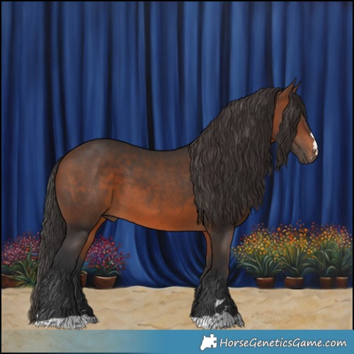 Horse Color:Brown 
