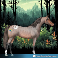 Horse Color:Bay Roan Varnish 
