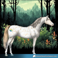 Horse Color:Buckskin Dun Appaloosa 