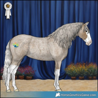 Horse Color:Silver Smoky Blue Roan Splash 
