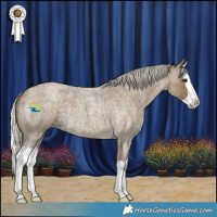 Horse Color:Silver Smoky Blue Roan Splash 