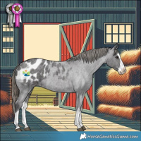 Horse Color:Smoky Blue Roan Splash Appaloosa 