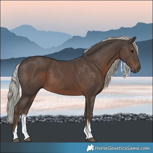 Horse Color:Silver Black Tobiano 