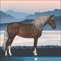 Horse Color:Silver Black Tobiano