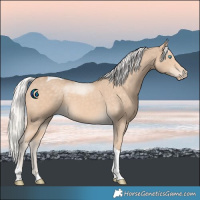 Horse Color:Silver Perlino Tobiano