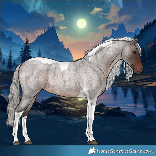 Horse Color:Silver Brown Roan Tobiano 