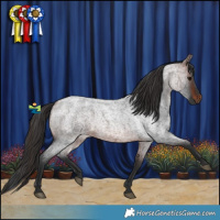 Horse Color:Brown Roan