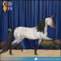 Horse Color:Brown Roan 