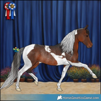 Horse Color:Brown Tobiano Rabicano