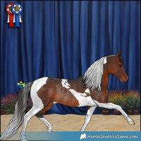 Horse Color:Brown Tobiano Rabicano 