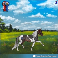 Horse Color:Brown Tobiano Rabicano