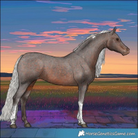 Horse Color:Silver Brown Tobiano Appaloosa