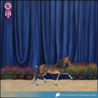 Horse Color:Buckskin Tobiano