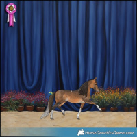 Horse Color:Buckskin Tobiano 