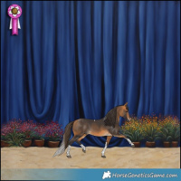 Horse Color:Buckskin Tobiano 