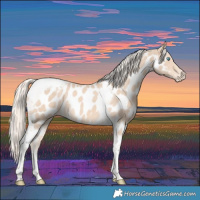 Horse Color:Cremello Tobiano Near Leopard 