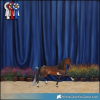 Horse Color:Bay Tobiano 