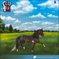 Horse Color:Bay Tobiano