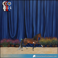 Horse Color:Bay Tobiano