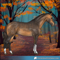 Horse Color:Buckskin Tobiano 