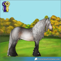 Horse Color:Gray Silver Brown 